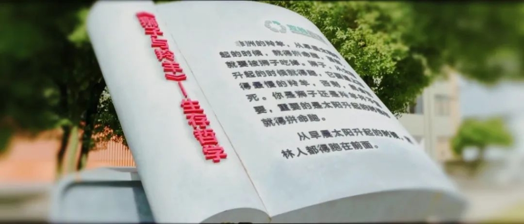 k8凯发官网(中国)天生赢家·一触即发